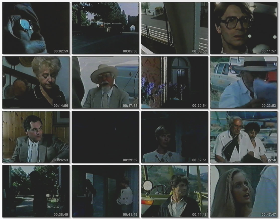 image 5 image 5