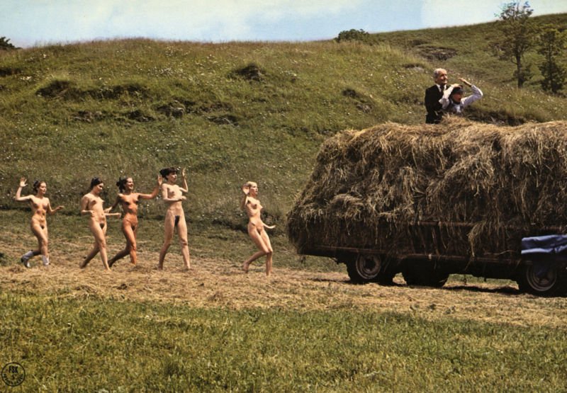 image 6 image 6